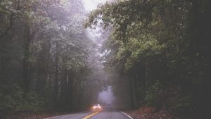 Driving in Fog